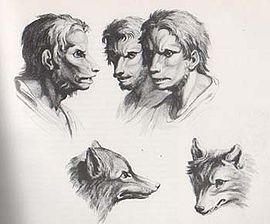 Les loups-garous 270px-11