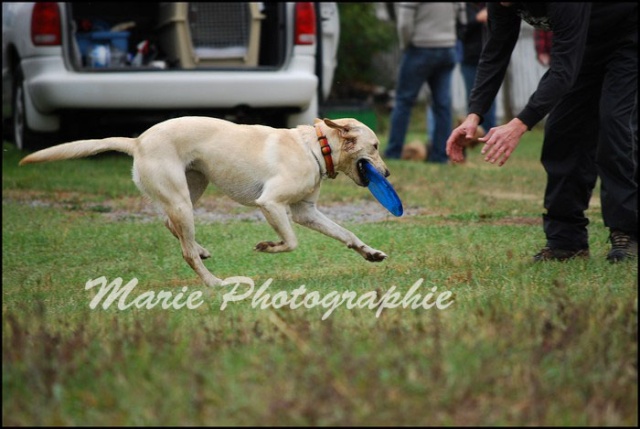 Mes premières photos de Frisbee / AJOUT DE PHOTOS Photo264