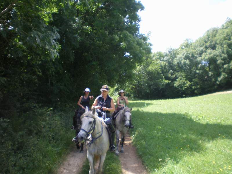 tour du lac paladru - Page 7 2112