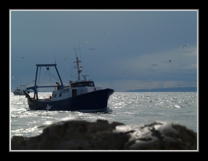 retour de pêche Retour12