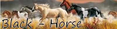 Partenaire Black Horse 15387510
