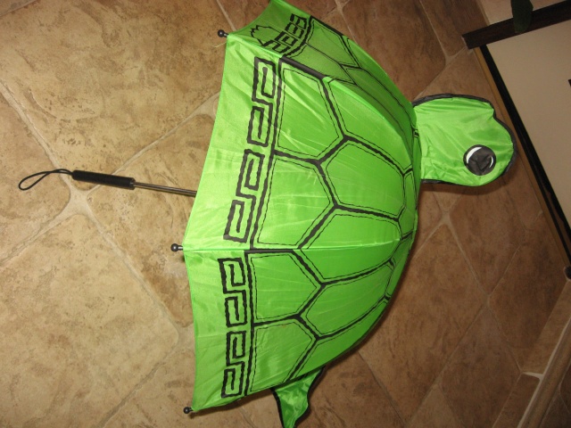 ma collection de tortues - Page 3 Photo_24