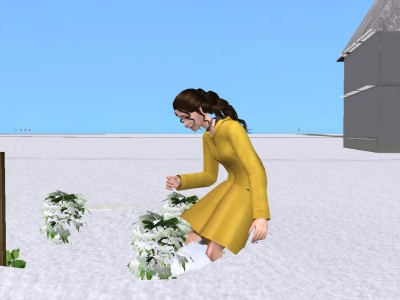 'Die Sims'- Spiele aller Art (bis auf Sims3) Snapsh24