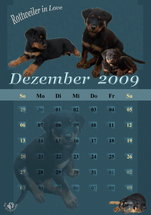 Rottweiler-Kalender  Dez,2009 Dezenb10