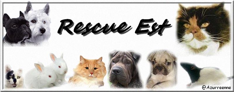 Rescue-Est