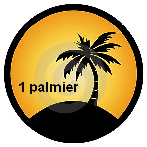 Le jeu des palmiers d'ilokdos - Page 30 Palmie13