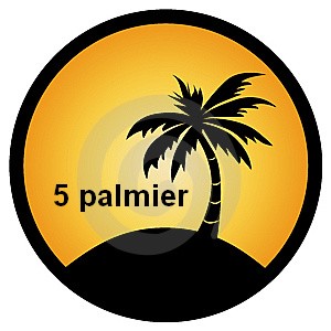 Le jeu des palmiers d'ilokdos - Page 2 Palmie16