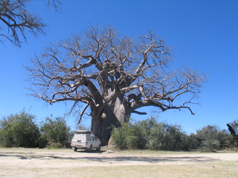 Quelques images de mon long ride namibien... - Page 2 Namibi63