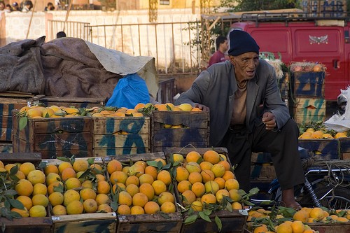 ... Portraits marocains 91669510