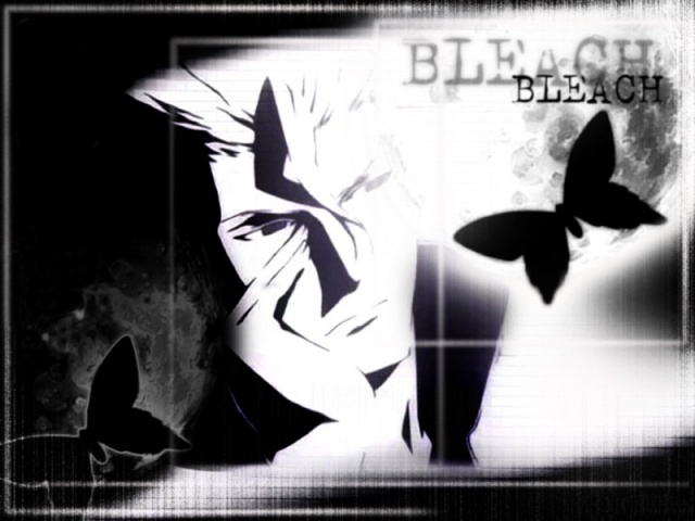 Bleach Universe