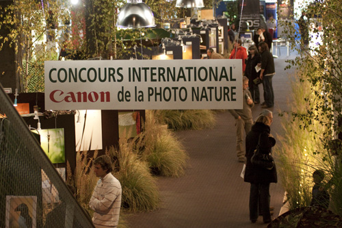 Festival Nature Namur du 17 au 25 Octobre _mg_2910