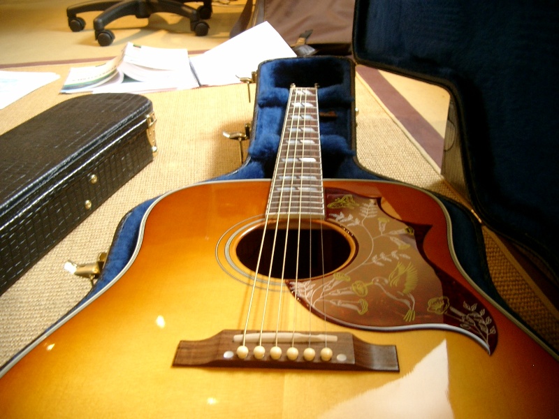 Gibson Hummingbird Imgp3811