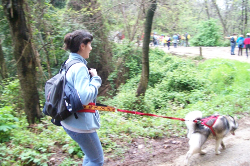 Dog Trekking "Traversata delle Seimiglia" Trav910