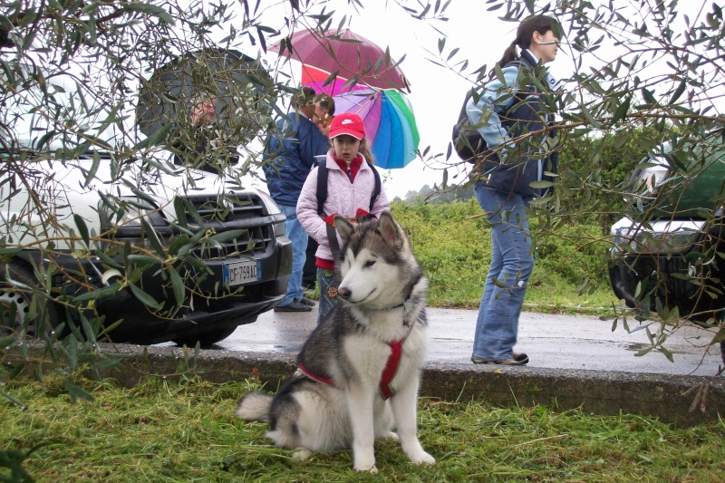 Dog Trekking "Traversata delle Seimiglia" Trave10