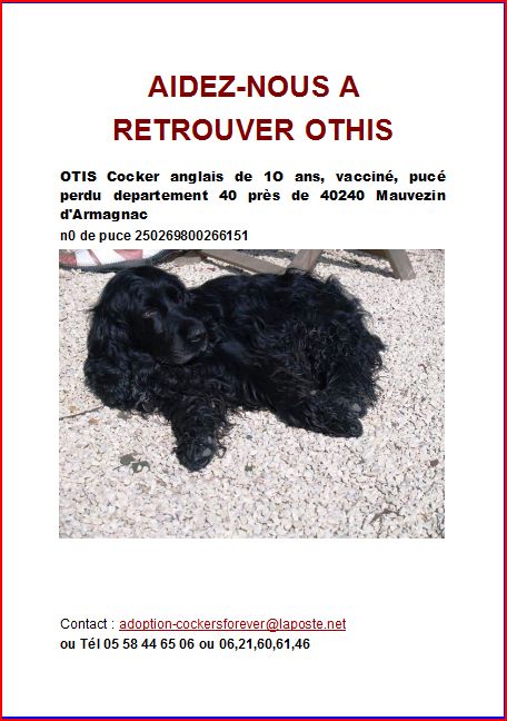 othis cocker male noir a disparu dep 40 [Retrouvé !] Aperau10