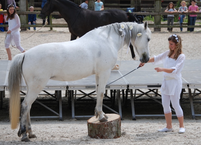 Journal de bord de Joline Dsc_1232