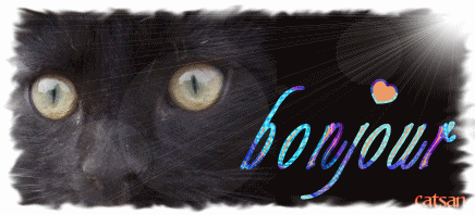 Monseigneur Neptune et ses chats - Portail Czewv010