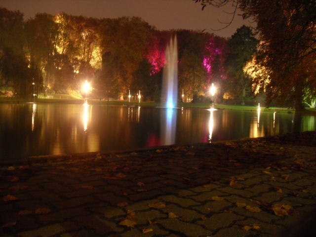 Illumination parc orangerie Dsci0014