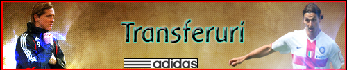 Transferuri