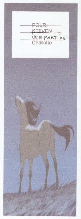 cheval poney âne - Page 2 Numar928