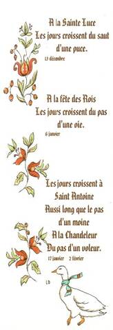 Proverbes Citations Jolies Phrases Pensees