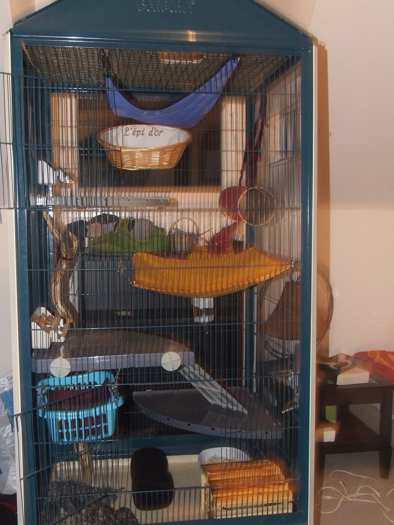 Voici la cage de mes 3 monstres et la votre ??? Dscf4210