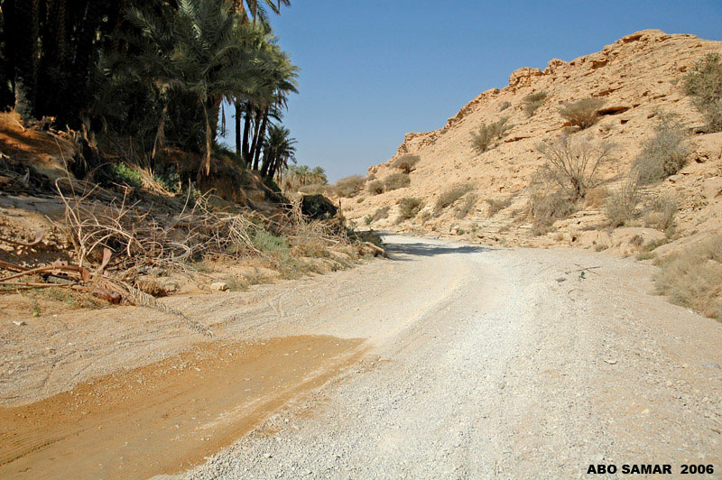 قصيدة جبل التوباد ملف كامل عن هذا الجبل التاريخى