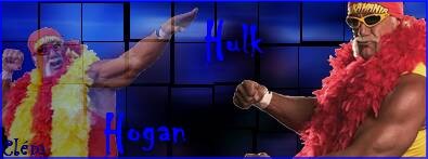 Clém gallerie Hogan11