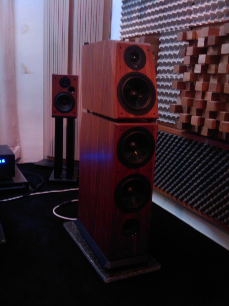 Von Schweikert Audio VR- 4 JR speakers (Used) SOLD Image_13