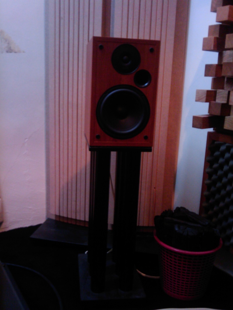 Polk Audio R20 & Wharfedale WH2 speakers (Used) SOLD Image_29