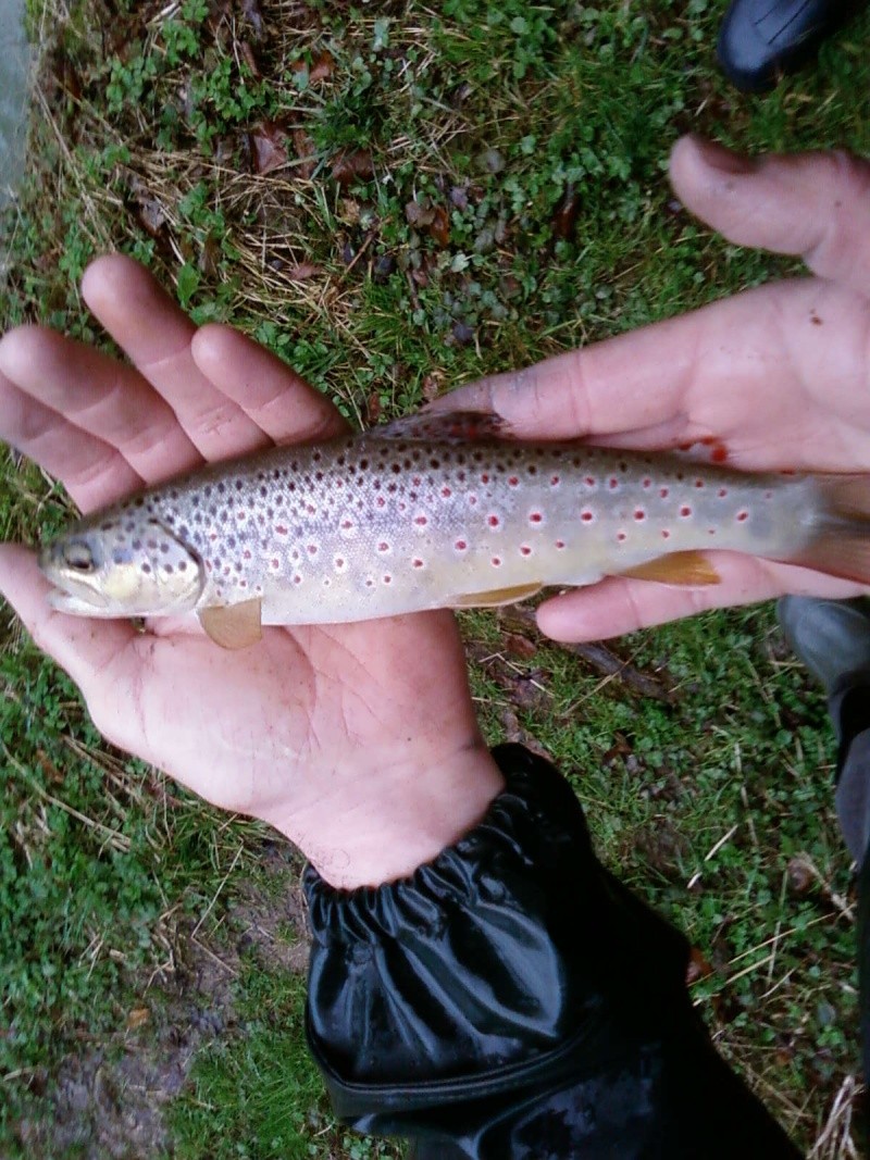 wend-end peche dans ma rivière préféré (25) Sp_a0115