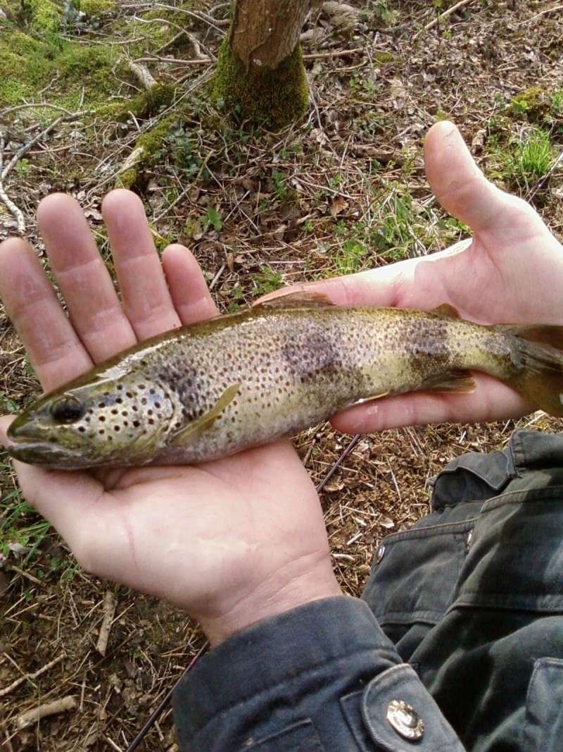 wend-end peche dans ma rivière préféré (25) Sp_a0121