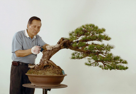 Cheng, Cheng-Kung's Bonsai School 2009_02 series Yanmau11