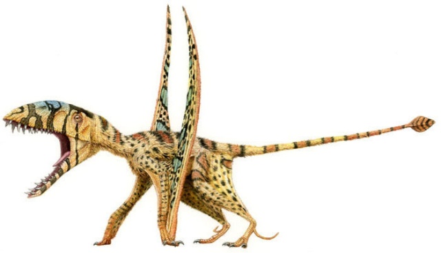 Dimorphodon Jcjcdi10