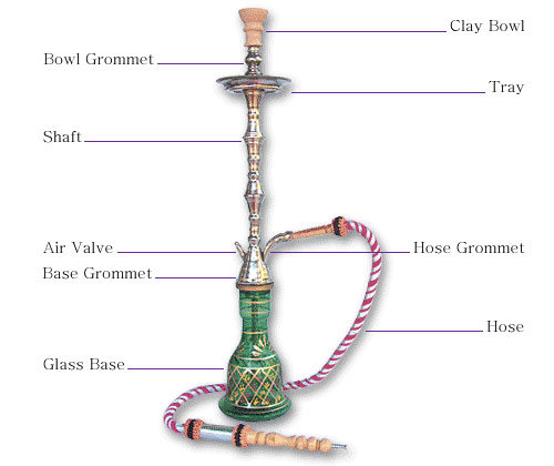 مخطط تشريحي للاركيلة Hooook10