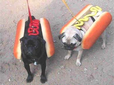 Berhati-hati membeli hotdog Hallow10