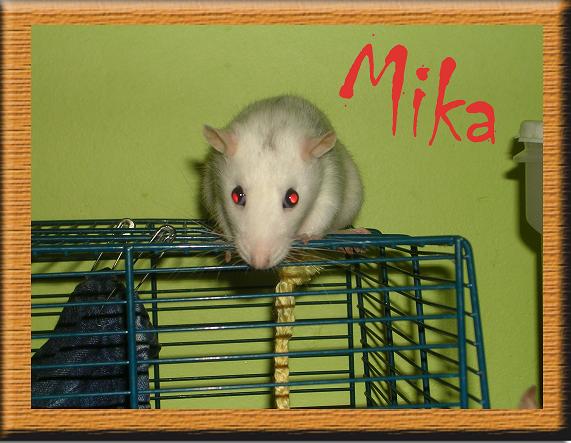 Miss Suzie (Photos) Mika10