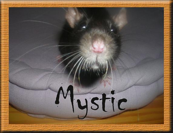 Miss Suzie (Photos) Mystic10