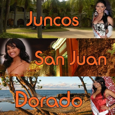 Some Candidates To Miss Puerto Rico World 2009.... Banner77