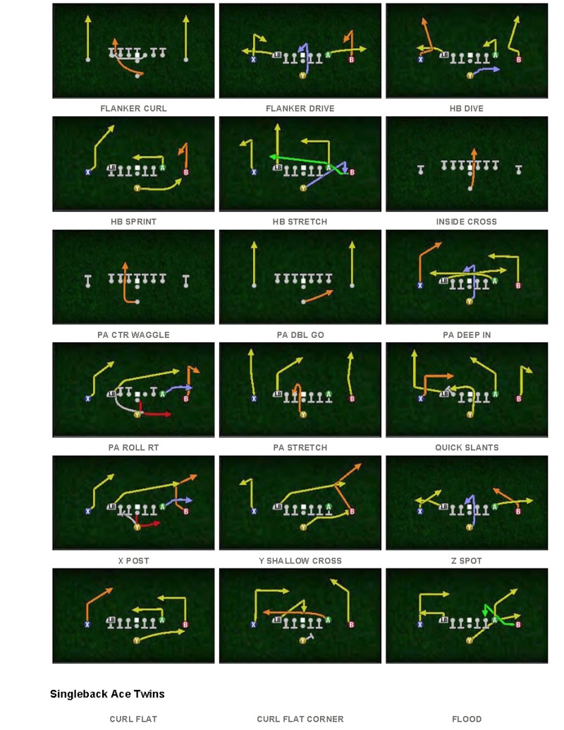 Madden 10 Run-n-Gun Playbook! J10