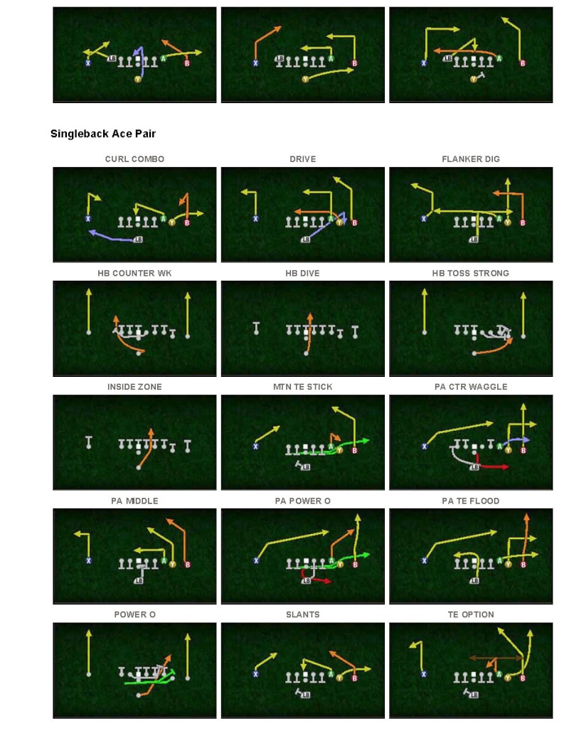 Madden 10 - Miami Dolphins Offensive Playbook! J11