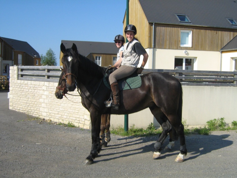 Philou d'Enghien: mon amour de cheval! Img_1615