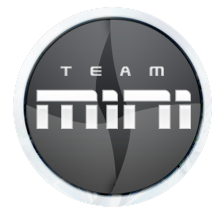 Logo Team Mini310