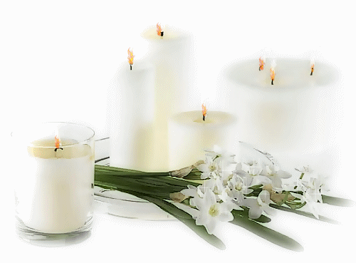 velas y flores para jennifer 110
