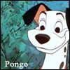 Les 101 Dalmatiens Pongo_10