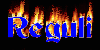 Regulament Forum