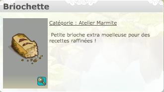 Briochette Brioch10