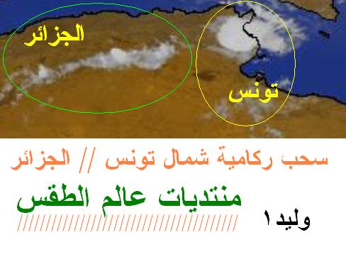 المتابعة اليومية للطقس في العالم العربي من 13 / 8 / وحتى 15 / 8 / 2009 م 1113