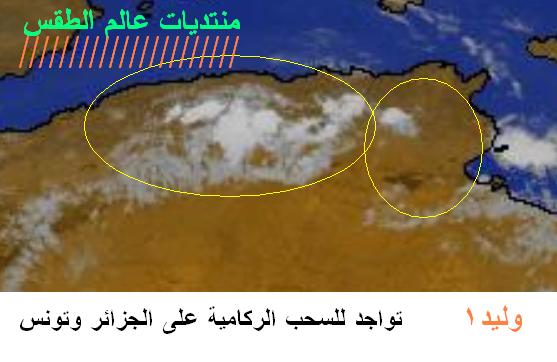 المتابعة اليومية للطقس في العالم العربي من 13 / 8 / وحتى 15 / 8 / 2009 م - صفحة 3 2214