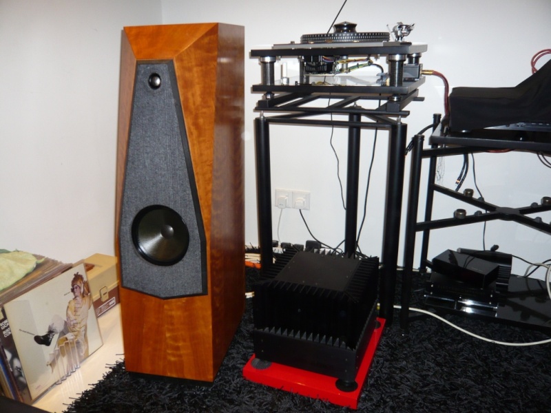 Avalon Eclipse speakers (Used) P1010926